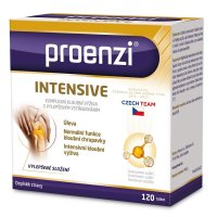 Proenzi Intensive 120 tablet