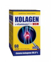 Kolagen s vitamínem C + MSM 60 tobolek