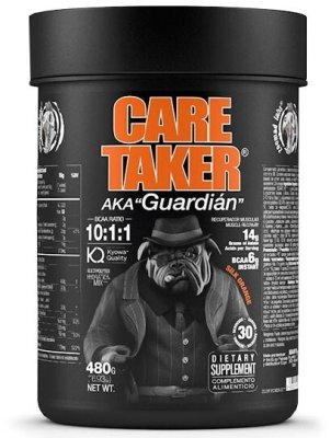 Zoomad Labs CareTaker BCAA 480 g silk orange