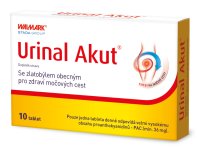 Idelyn Urinal Akut 10 tablet