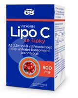 GS Vitamin Lipo C 500mg se šípky cps.90+10