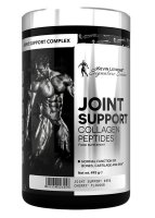 Kevin Levrone Joint Support 495 g tropical