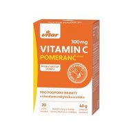 Vitar Vitamin C 300mg+rakytník+zinek sáčky 20x2g