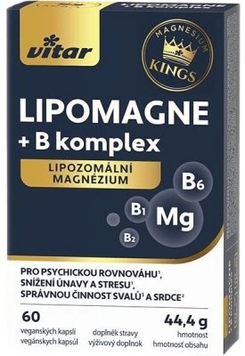 Vitar LIPOMAGNE+B komplex cps.60
