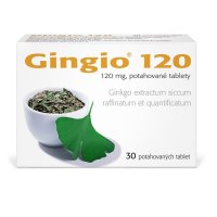 GINGIO 120