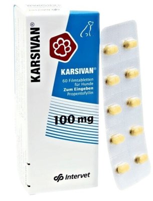 Karsivan 100mg tbl.60x100mg