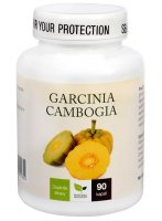 Natural Medicaments Garcinia Cambogia cps.90