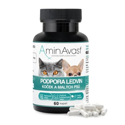 AminAvast kočka cps.60