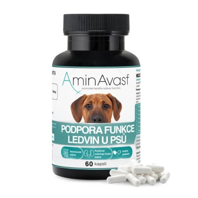 AminAvast pes cps.60