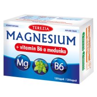 TEREZIA Magnesium+vitamin B6 a meduňka cps.120