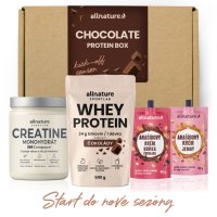 Allnature Chocolate Protein Box