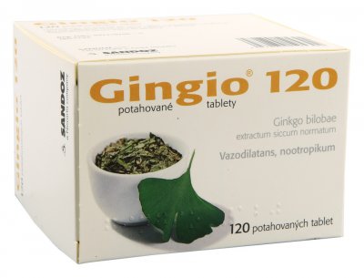 GINGIO 120MG potahované tablety 120
