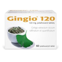 GINGIO 120MG TBL FLM 60