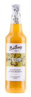 Báťkovy sirupy Zázvorový sirup 500ml