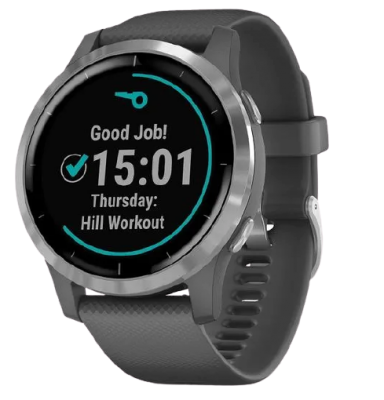 Garmin vívoActive4 Silver/Gray Band