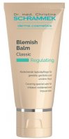 Dr. med. Christine Schrammek Regulating Blemish Balm Classic 40 ml