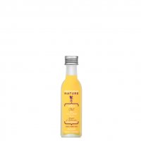 Alfaparf Milano Precious Nature Grape & Lavender Olej na vlnité a kudrnaté vlasy 100ml