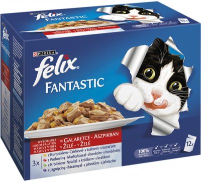 Felix Fantastic Multipack masový výběr 12x100g