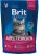 Brit Premium Cat Adult Chicken 300g