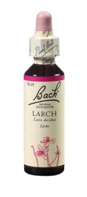 Bach Larch 20ml