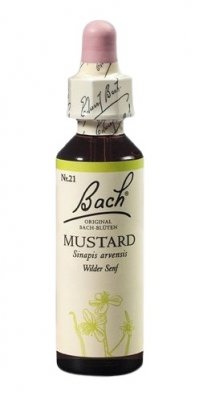 Bach Mustard 20ml