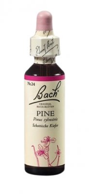 Bach Pine 20ml