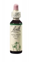 Bach Walnut 20ml