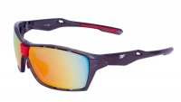 3F Vision Clav 1665