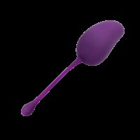 Lady Dreams Tréninková kulička Gym Ball fialová