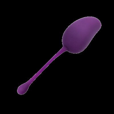 Lady Dreams Tréninková kulička Gym Ball fialová