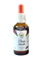Salvia Paradise Perila křovitá AF tinktura 50ml Salvia Paradise Perila křovitá AF tinktura 50ml