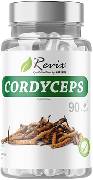 Maxxwin Cordyceps 90 kapslí