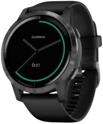 Garmin Vívoactive 4 Gray/Black Band