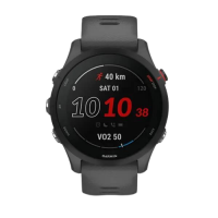 Garmin Forerunner 255 Slate Grey