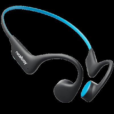 Niceboy HIVE Bones 3