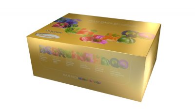 Čaj GOLDEN garden MAXI PACK 6 x 10 x 2.5g n.s.