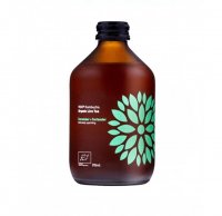 Vigo Bio Kombucha Okurka a Koriandr 315 ml Vigo Bio Kombucha Okurka a Koriandr 315 ml