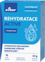 Vitar Rehydratace Active 10 sáčků
