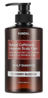 Kundal Natural Caffeine&Intensive Scalp care+ šampon proti vypadávání vlasů s kofeinem 500 ml Kundal Natural Caffeine&Intensive Scalp care+ šampon proti vypadávání vlasů s kofeinem 500 ml