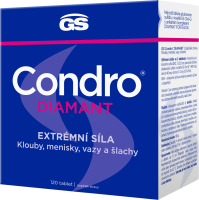 GS Condro Diamant 120 tablet