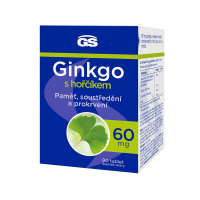 GS Ginkgo 60mg s hořčíkem 90 tablet