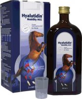 Hyalutidin HCC Mobility 2 x 500 ml