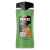 Axe Jungle Fresh sprchový gel 400 ml