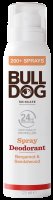 BULLDOG Bergamot & Sandalwood Spray Deodorant 125 ml
