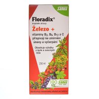 SALUS Floradix bylinný sirup 250 ml