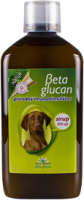 BETAGLUCAN Glucan sirup pre zvierata 500 ml