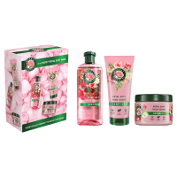 Herbal Essences Xmass sada Argan Repair šampon, kondicionér a maska 3 ks