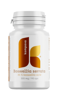 KOMPAVA Boswellia serrata 90 kapslí