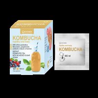 OVONEX Kombucha instantní 10 x 4 g