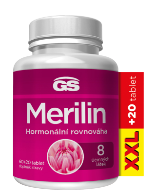GS Merilin original 120 tablet